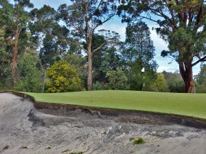 Metropolitan 5th Green